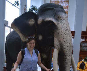 SABRINANEMIS_ELEPHANT_SRILANKA