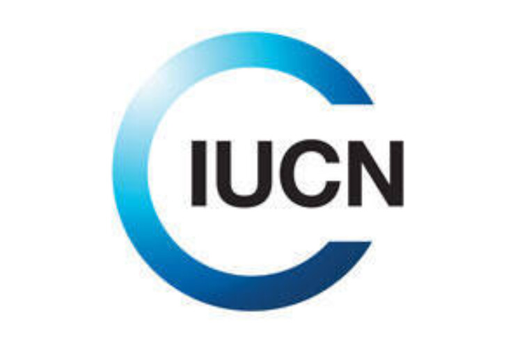 Union internationale pour la conservation de la nature (UICN) logo